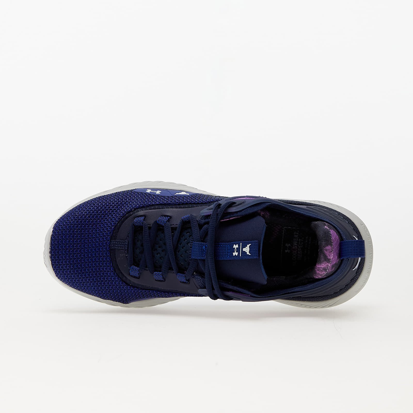 Pánské tenisky a boty Under Armour Project Rock 5 Disrupt Bauhaus Blue/ Midnight Navy/ Halo Gray