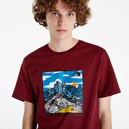 North face graphic tee store