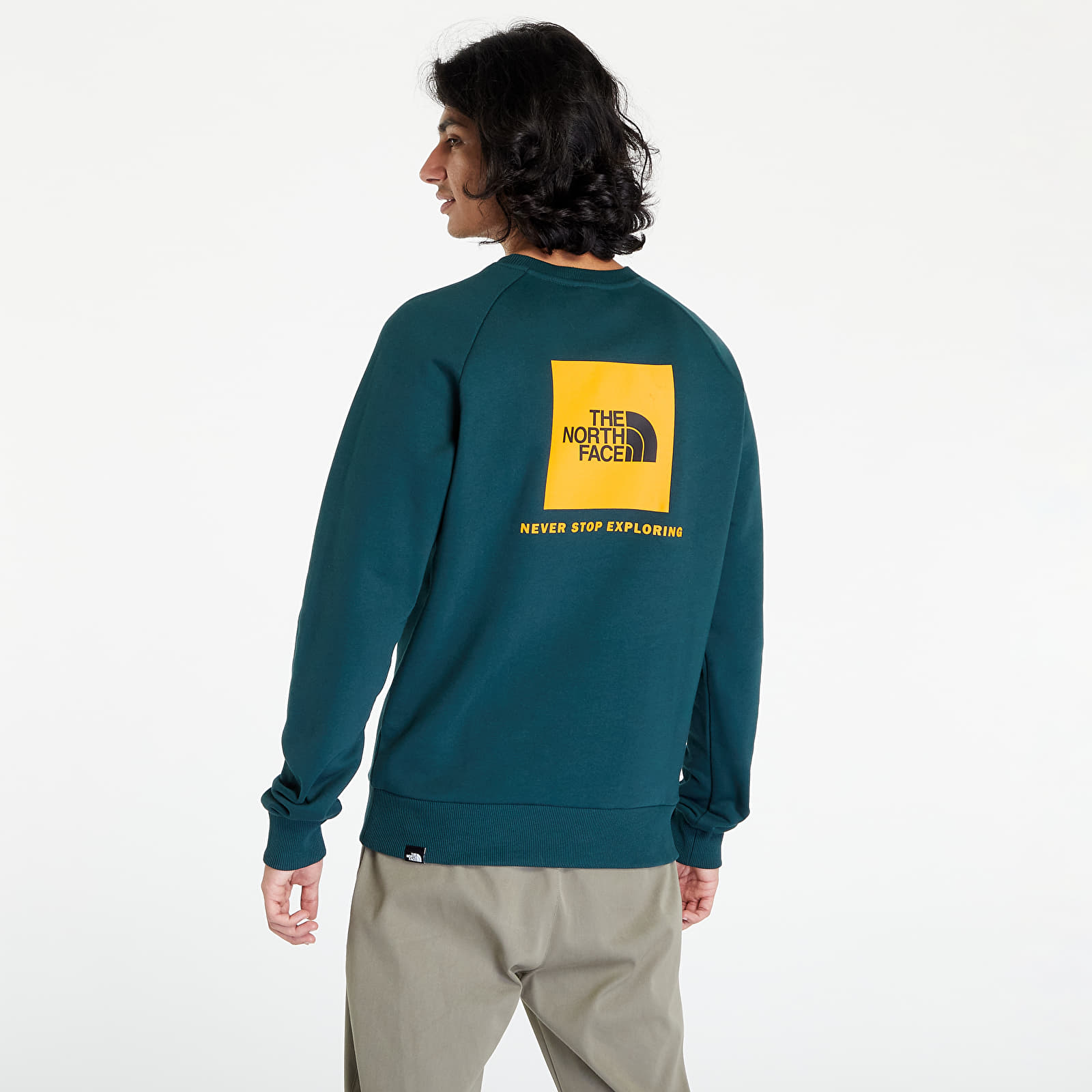 The north face raglan red box 2025