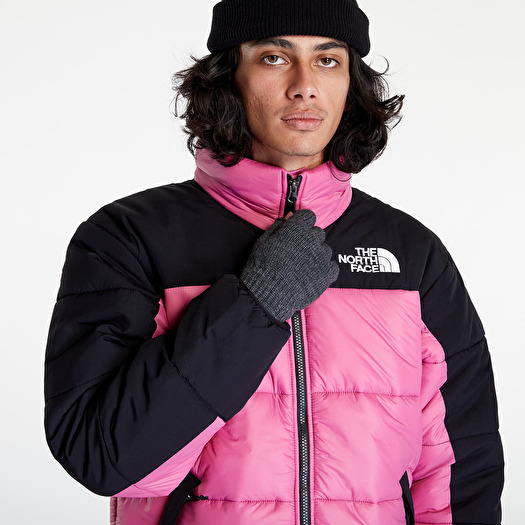 North face himalayan 800 top