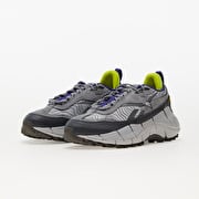 Men's shoes Reebok Zig Kinetica 2.5 Edge Pure Grey 3/ Pure Grey 