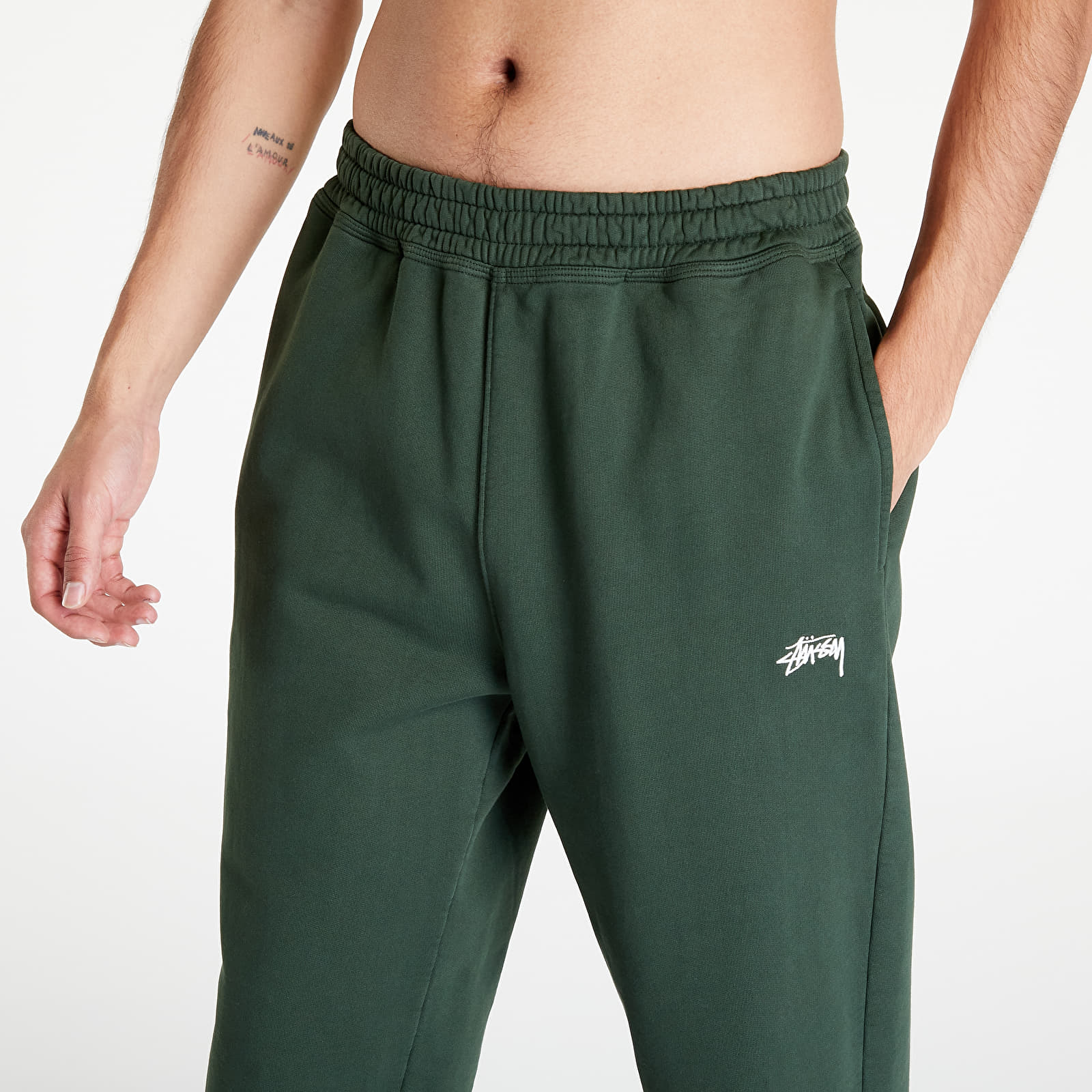 Traperice i hlače Stüssy Stock Logo Pant Forest