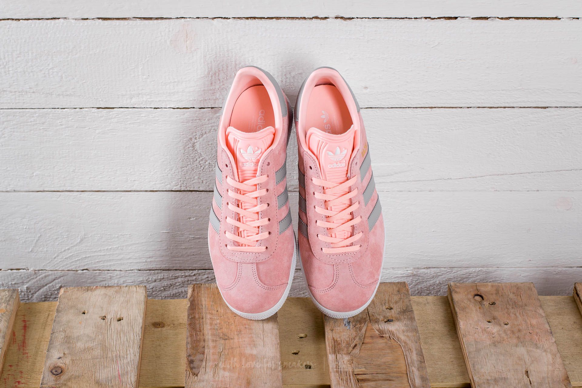 Coral gazelles hotsell