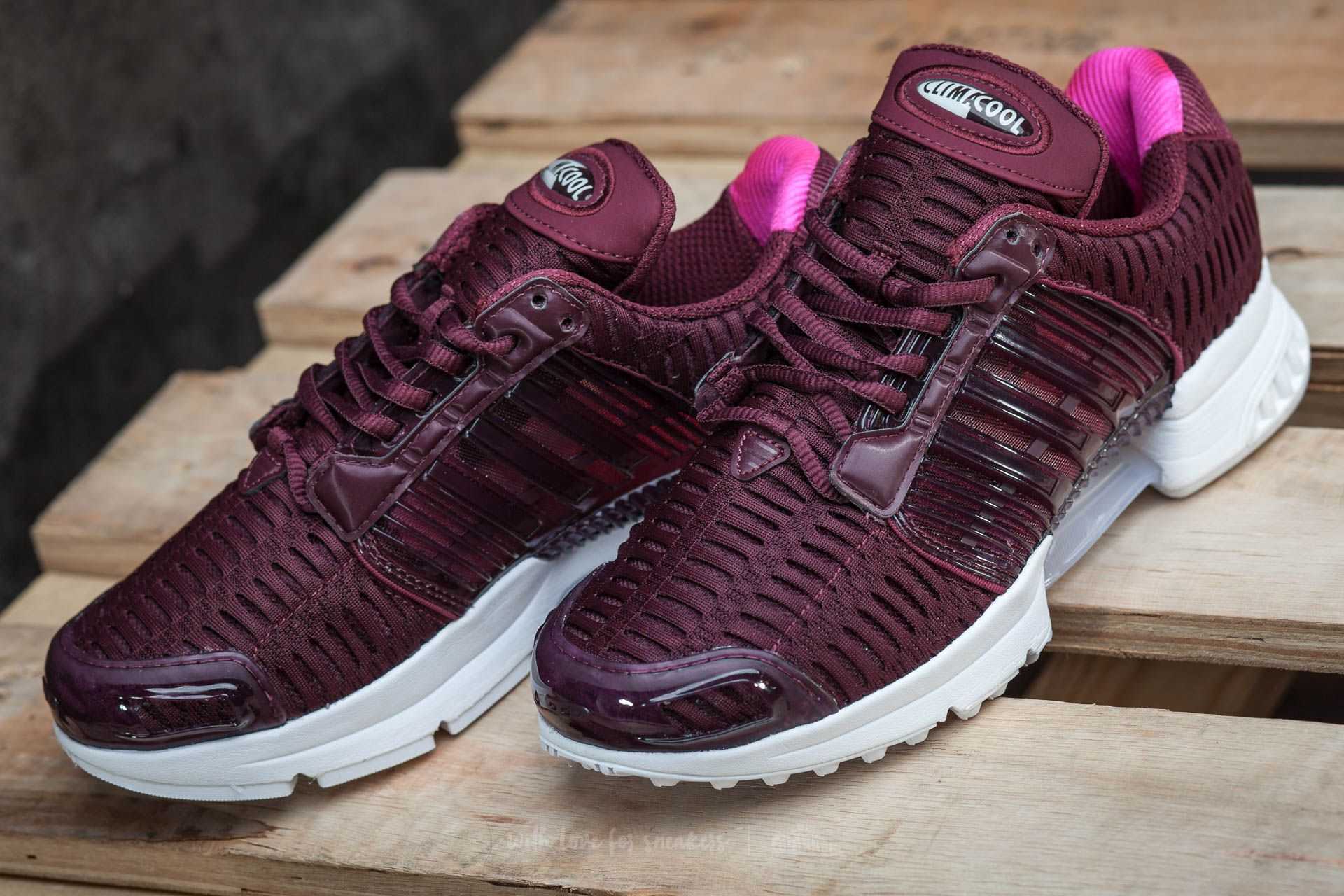 adidas Clima Cool 1 W Maroon/ Maroon/Shock Pink | Footshop