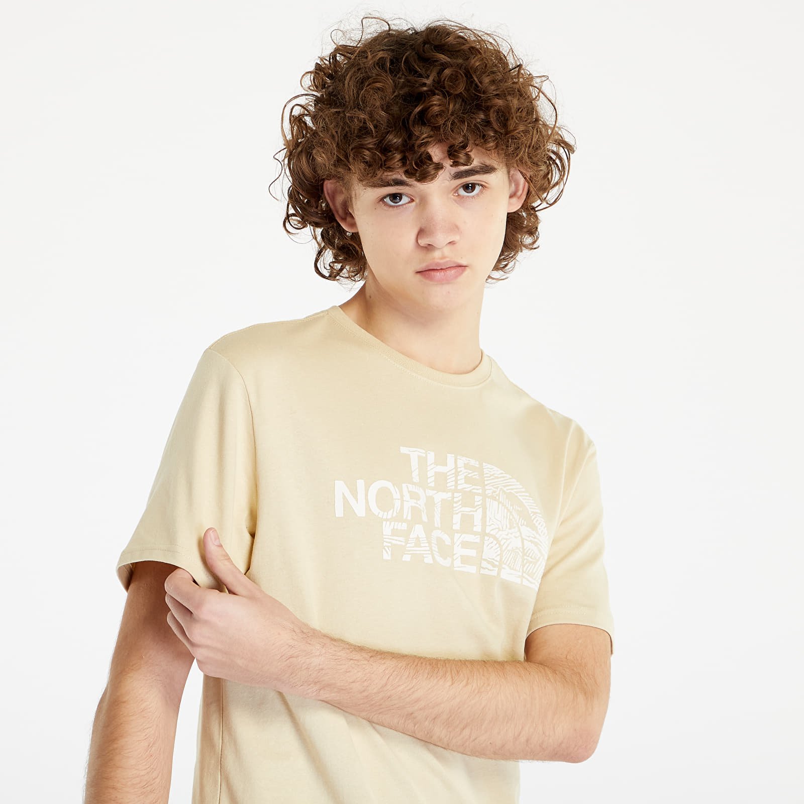 T-shirts The North Face S/S Woodcut Dome Tee Gravel