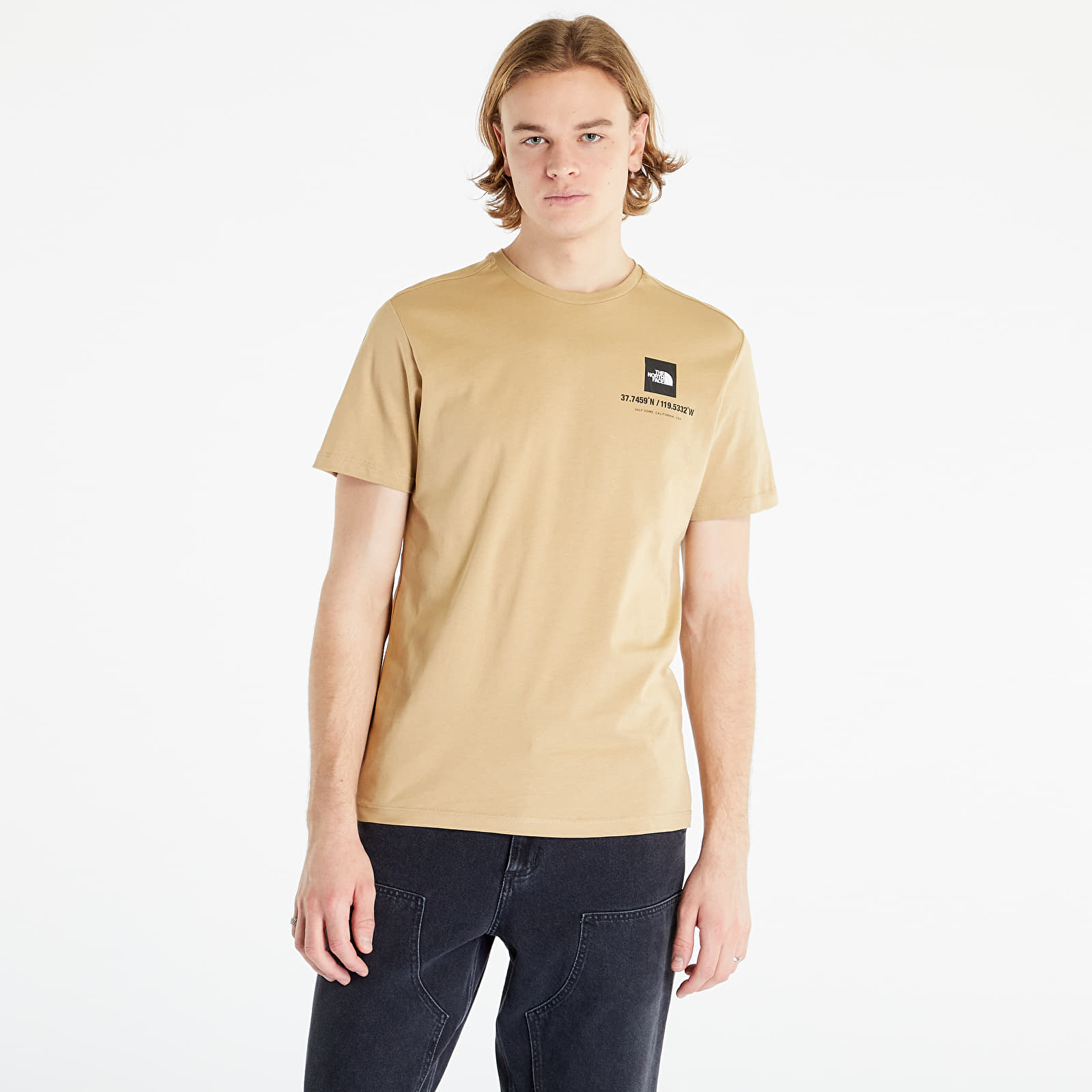 T-shirts The North Face Coordinates S/S Tee Khaki Stone