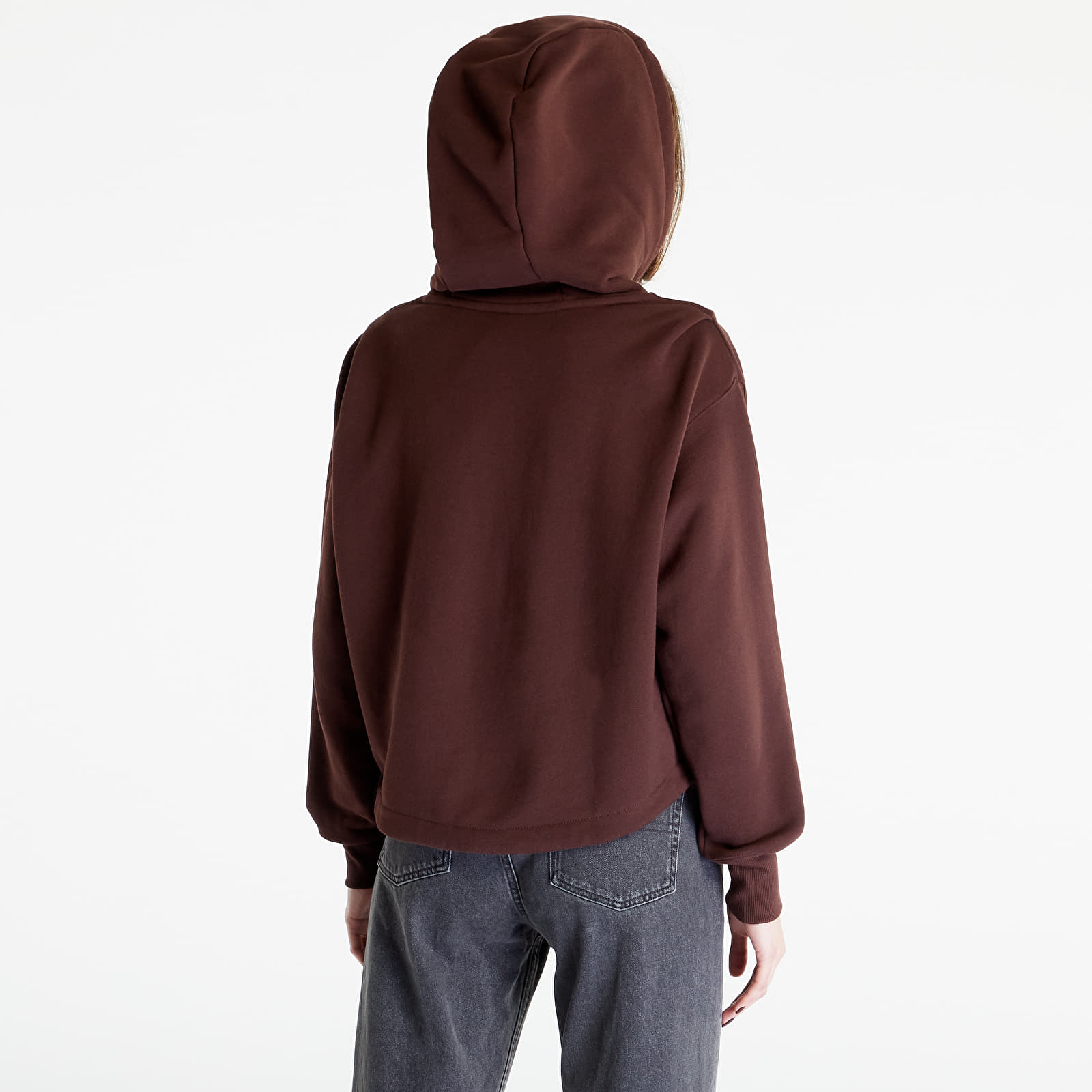 Hettegensere og sweatshirts Nike Sportswear Modern Fleece Women's Oversized French Terry Hoodie Earth/ Plum Eclipse