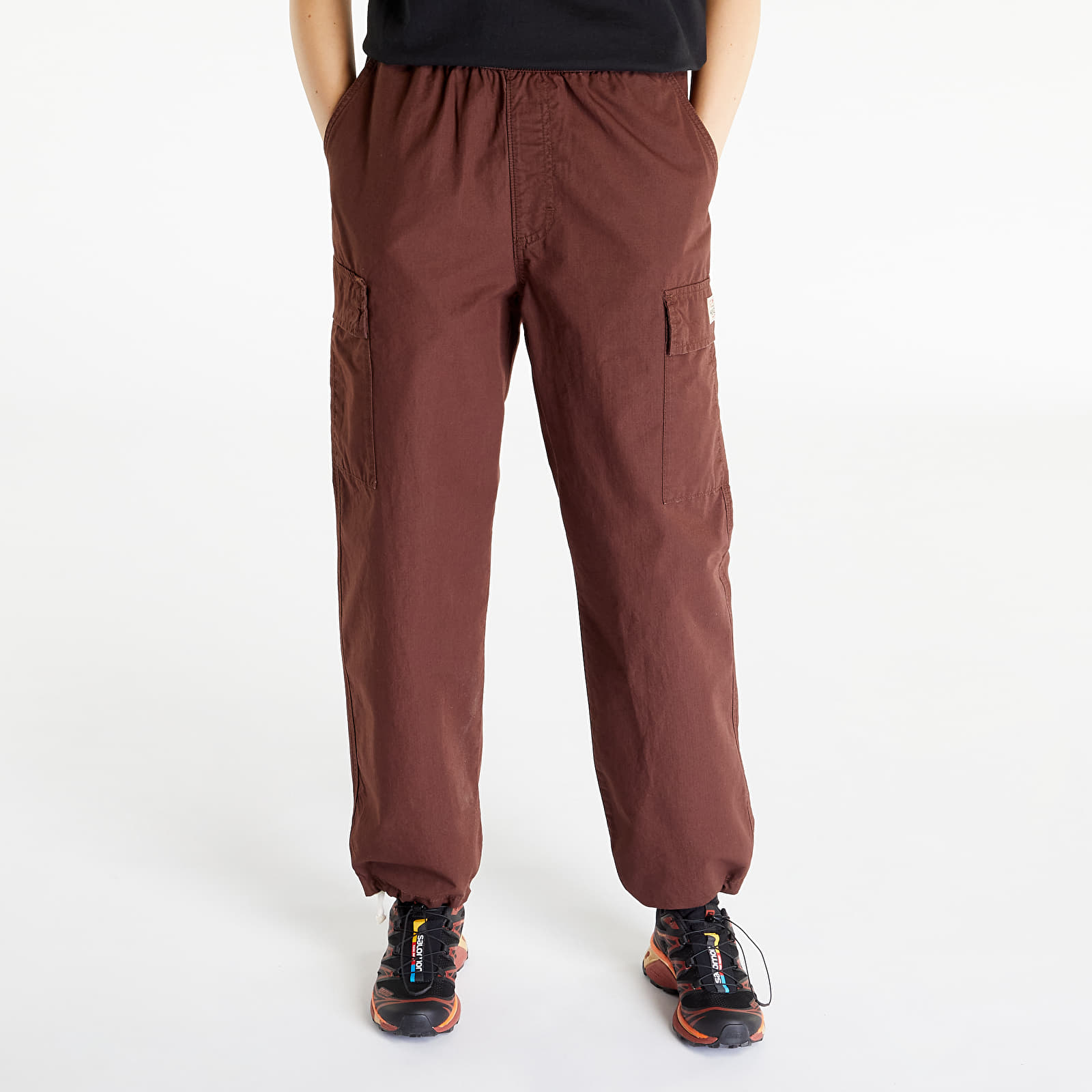 Pants and jeans Stüssy Ripstop Cargo Beach Pant UNISEX Brown