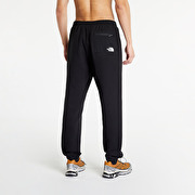 The north top face tech pant