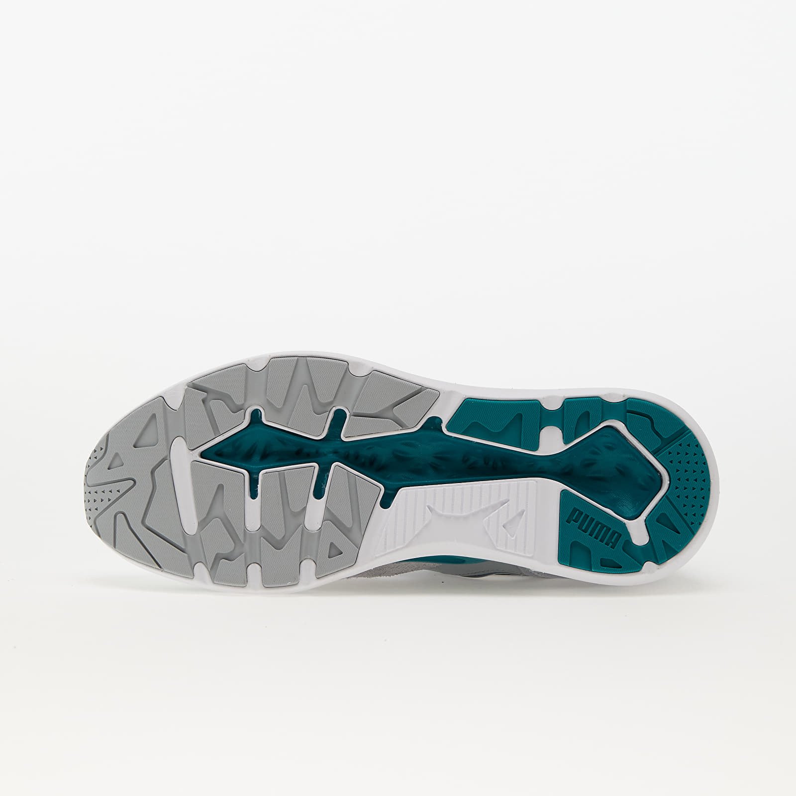Puma flux 2025
