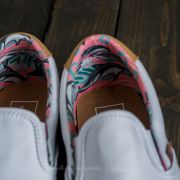 C&l era 59 shop dolphin