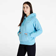 Hoodies and sweatshirts Champion American Classics Hooded