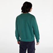 Kelly green champion store sweatshirt
