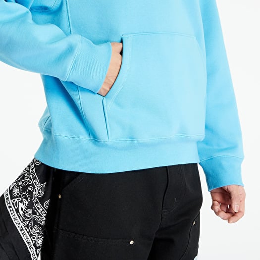 Baby blue carhartt hoodie new arrivals