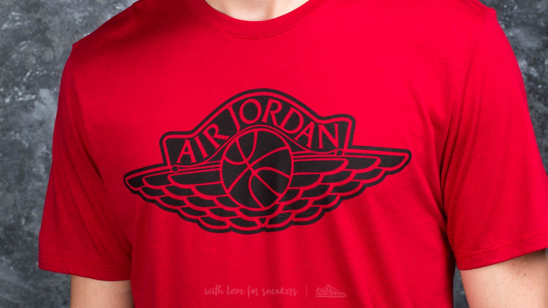 Jordan iconic wings best sale t shirt