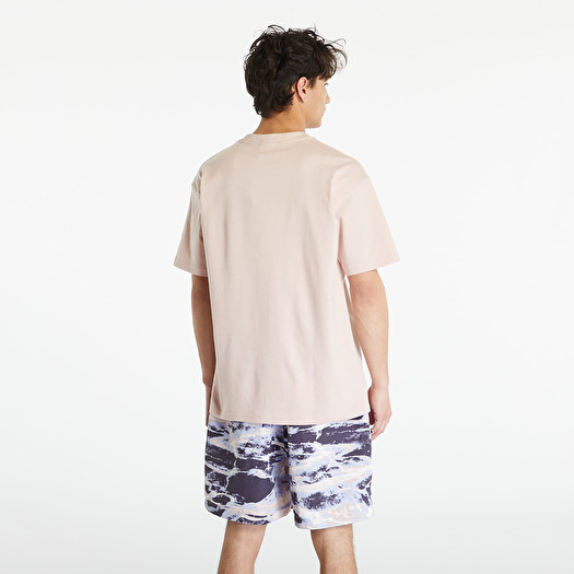 Nike Sportswear ACG Men s Short Sleeve Tee Pink Oxford Footshop