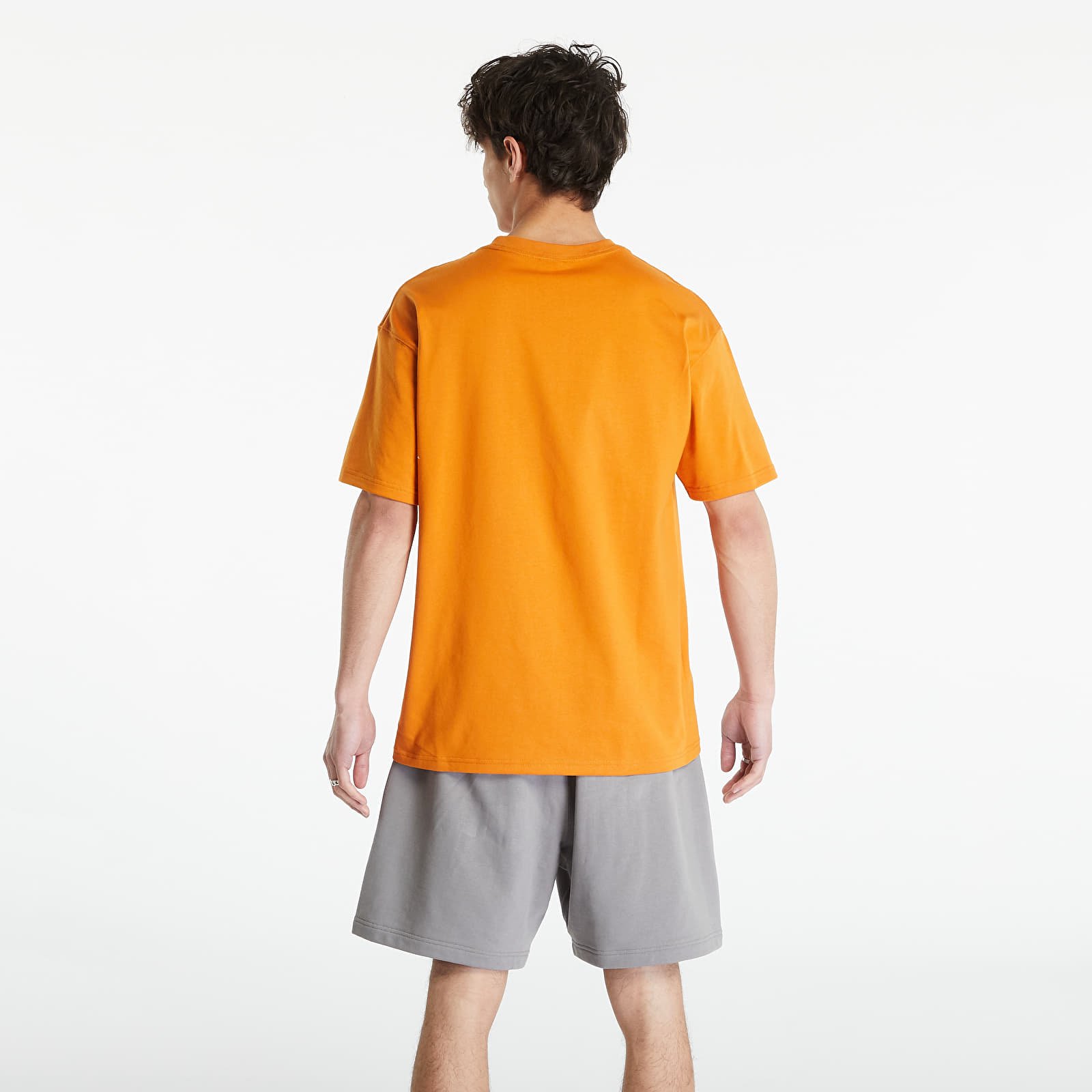 Koszulki Nike Sportswear ACG Men's Short Sleeve Tee Monarch