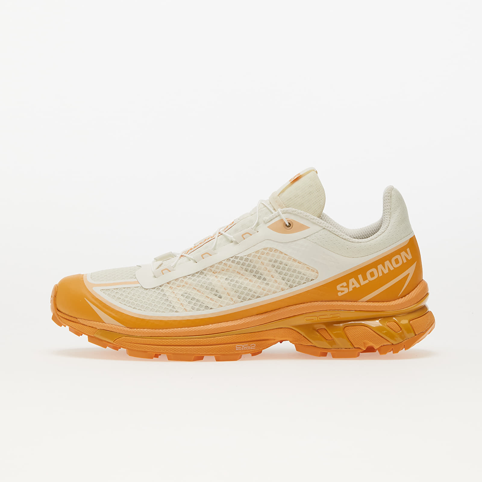 Salomon XT 6 Ft