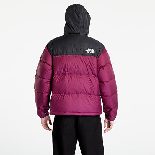 Tnf deals nuptse purple
