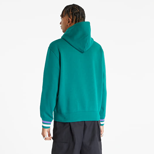Champion sweater cheap mint hoodie