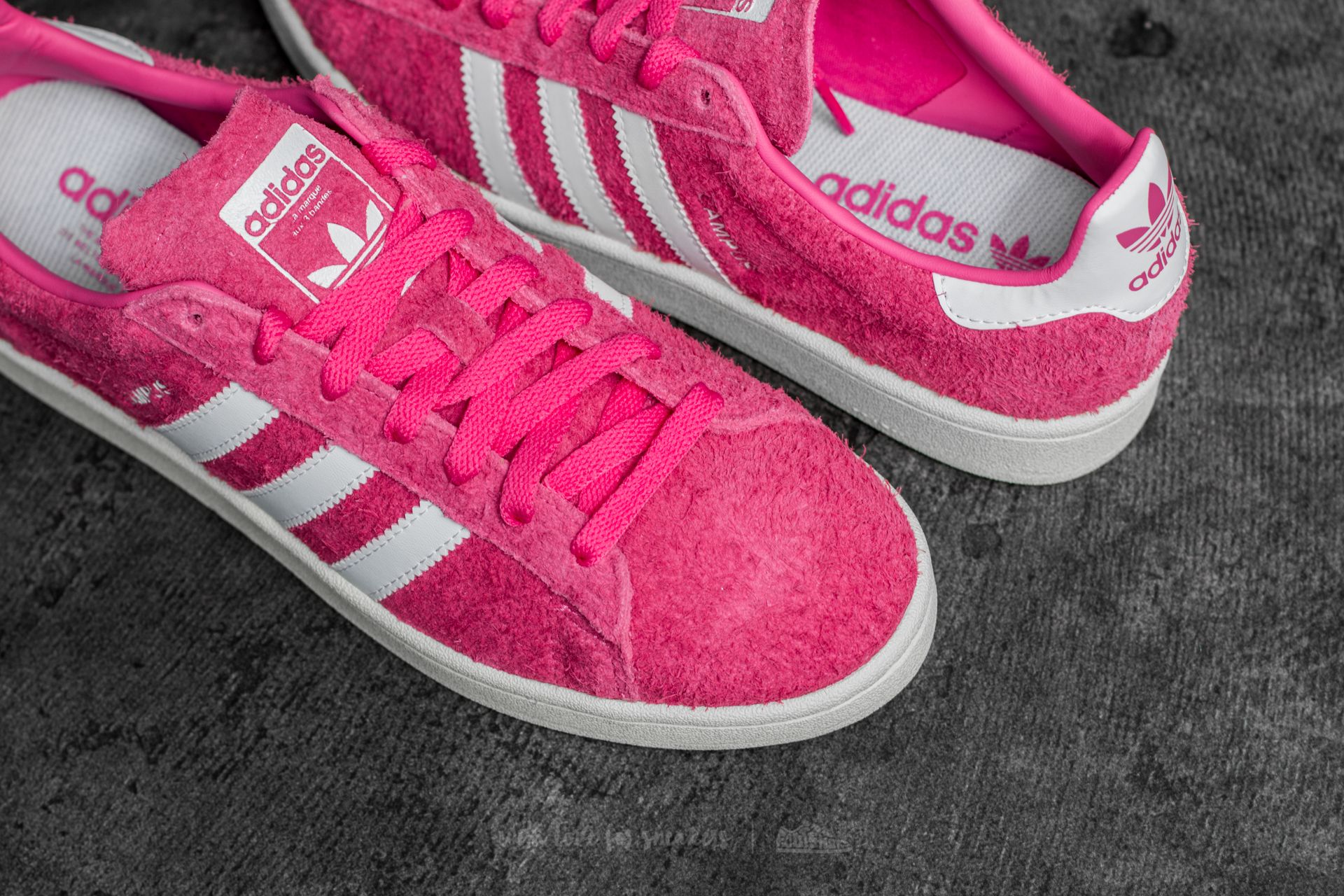 Adidas campus best sale fucsia